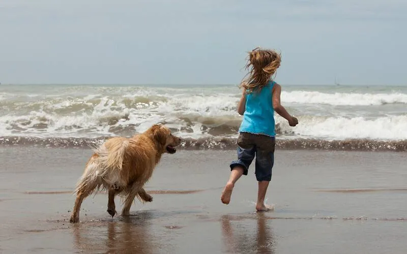 Mit Hund zum Strand